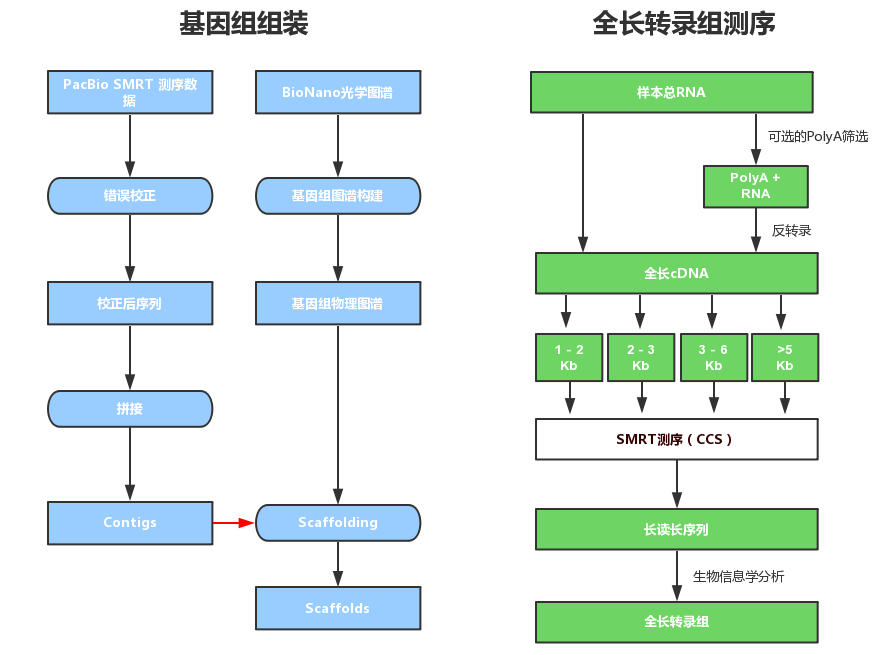 基本流程图1 (3).png