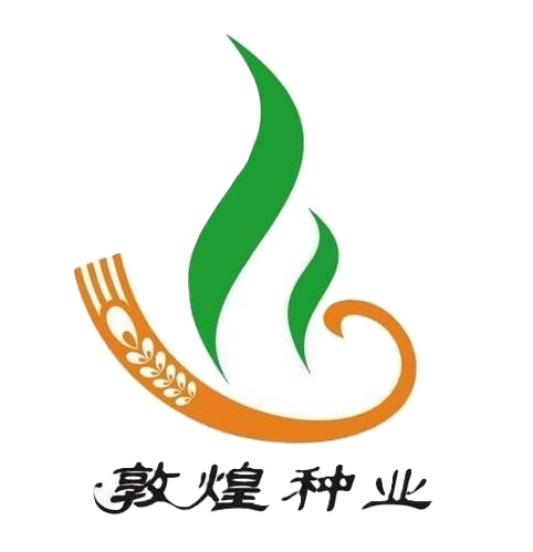 敦煌种业