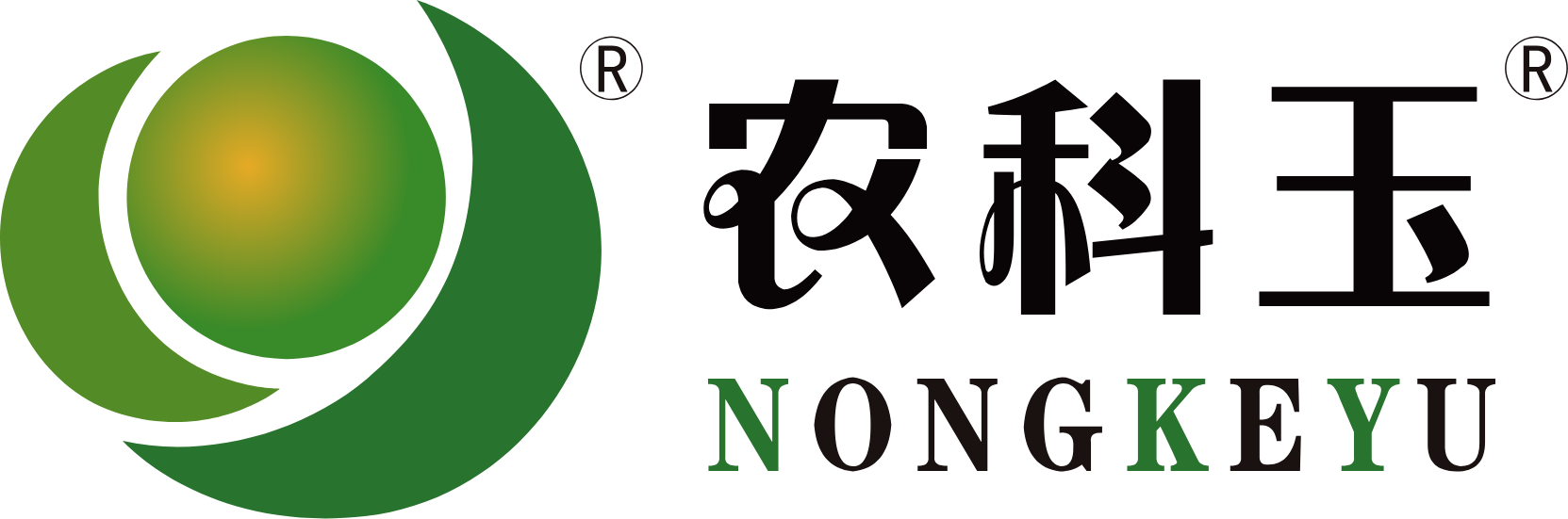 北京农科玉