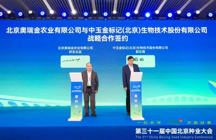 1764295941905134.png 图片1.png