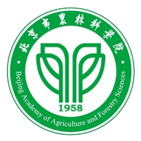 1764309593477704.png 图片3.png