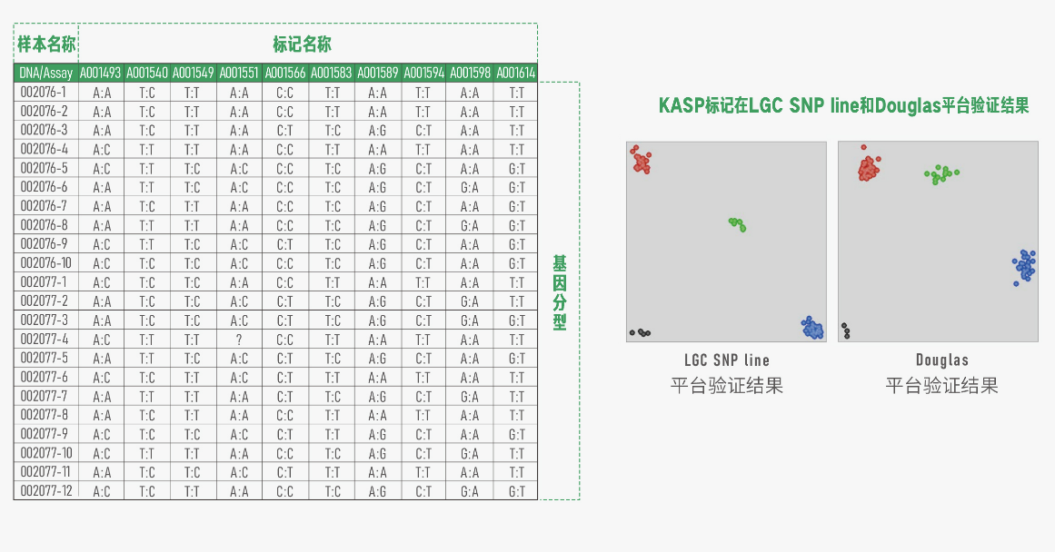 1766712361144272.png 蒙版组 858.png