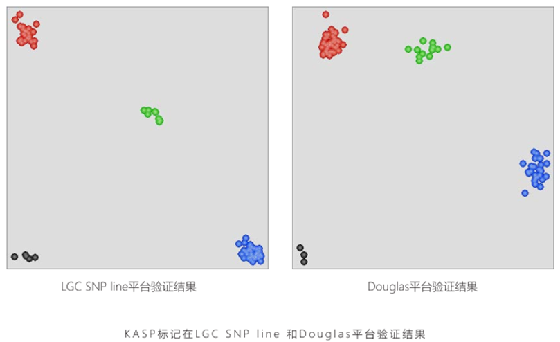 1773989169336229.png 640 (3).png
