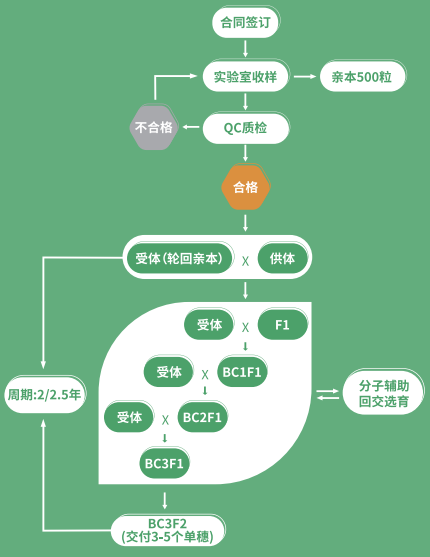 1773989376209950.png 640 (3).png