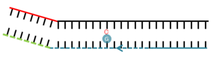 1773989956370482.png 640 (2).png