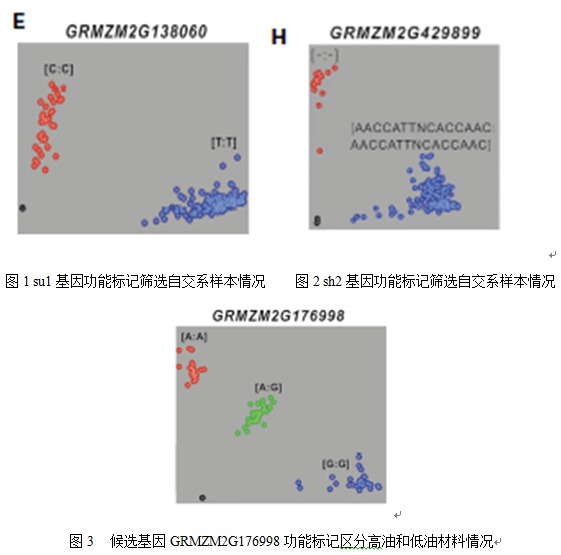 1773990005716374.png 640 (8).png
