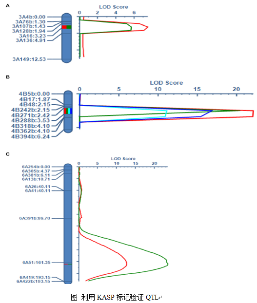 1773990052461522.png 640 (11).png