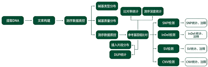 1777348147854852.png liucheng.png
