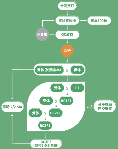 1779876667374441.png image.png