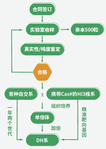 1781331806350040.png image.png