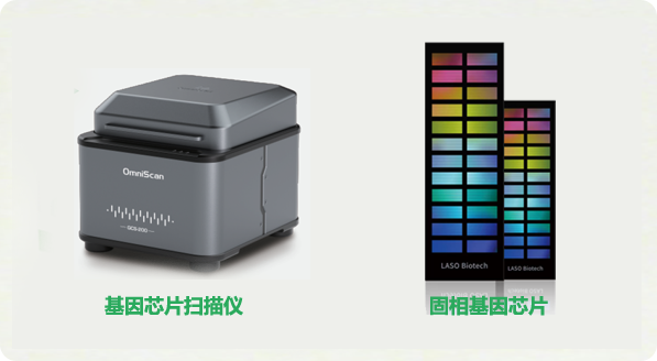 1781415998381544.png 而热热.png