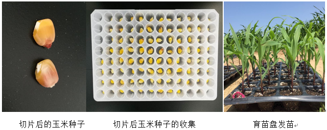 1781610844560524.png image.png
